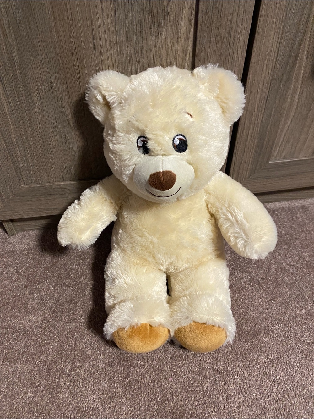 Build a Bear Teddy